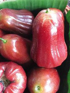 Agricultural Bearing